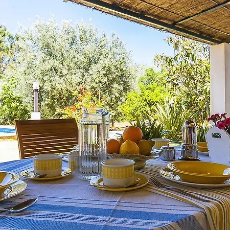 La Palmera Villa *